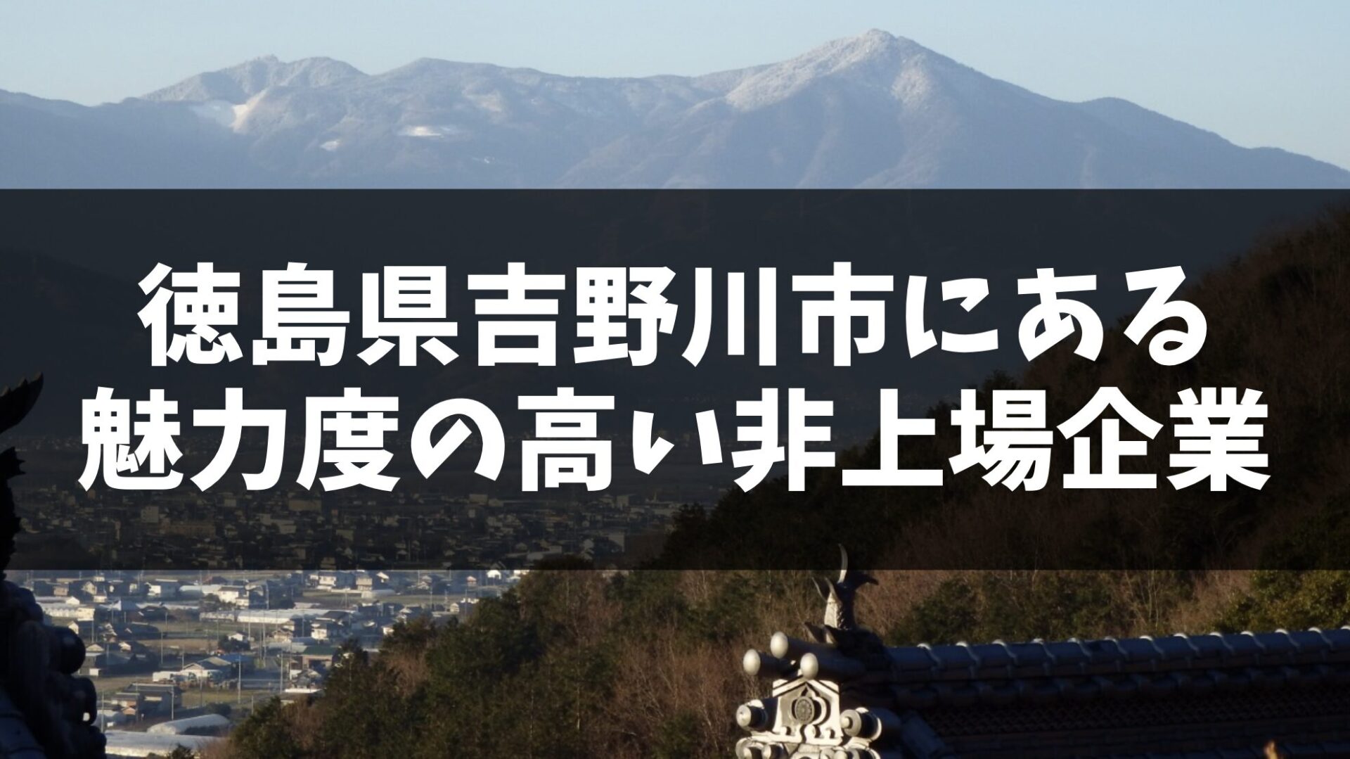 徳島県吉野川市に本社を置く、魅力度の高い非上場企業5選